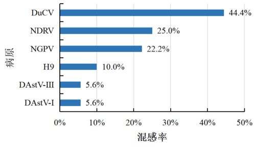 信得科技檢測中心2024年5月禽病檢測報告 聚焦蛋禽、肉禽、水禽健康管理與肝癌血漿microRNA標(biāo)志物檢測新進(jìn)展